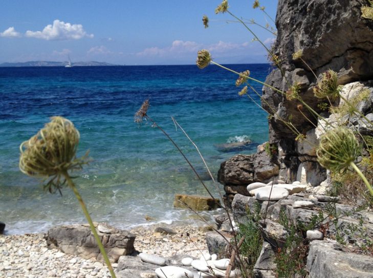 Paxos - uralte Olivenbäume und Türkisfarbene Buchten 