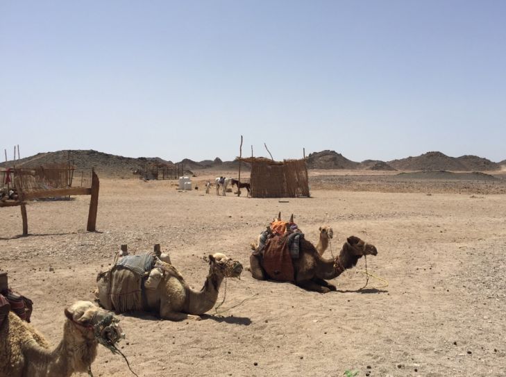 Ägypten - Strandurlaub am Roten Meer 