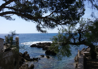 Bild Mallorca Reisebericht