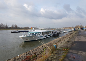 Bild Auf dem Rhein nach Amsterdam Reisebericht