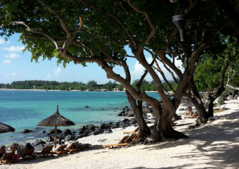 Bild Mauritius - Insel im indischen Ozean Reisebericht