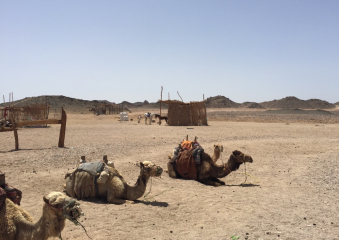 Bild Ägypten - Strandurlaub am Roten Meer  Reisebericht