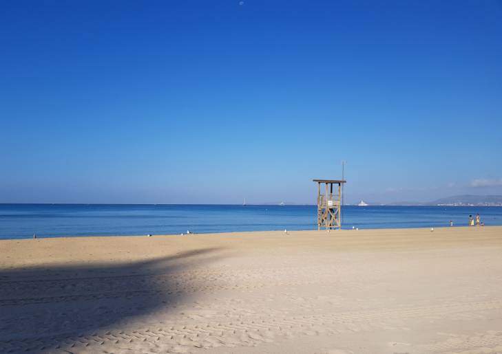 PlayadePalma PlayadePalma