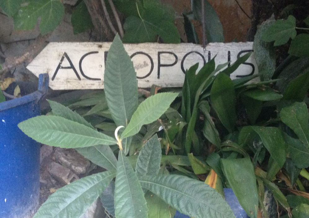 Akropolis